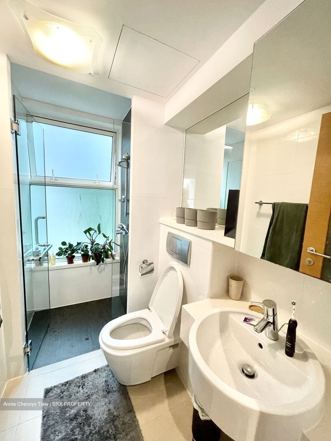Parc Emily (D9), Condominium #436296051